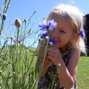 Walton Montessori Private Nursery